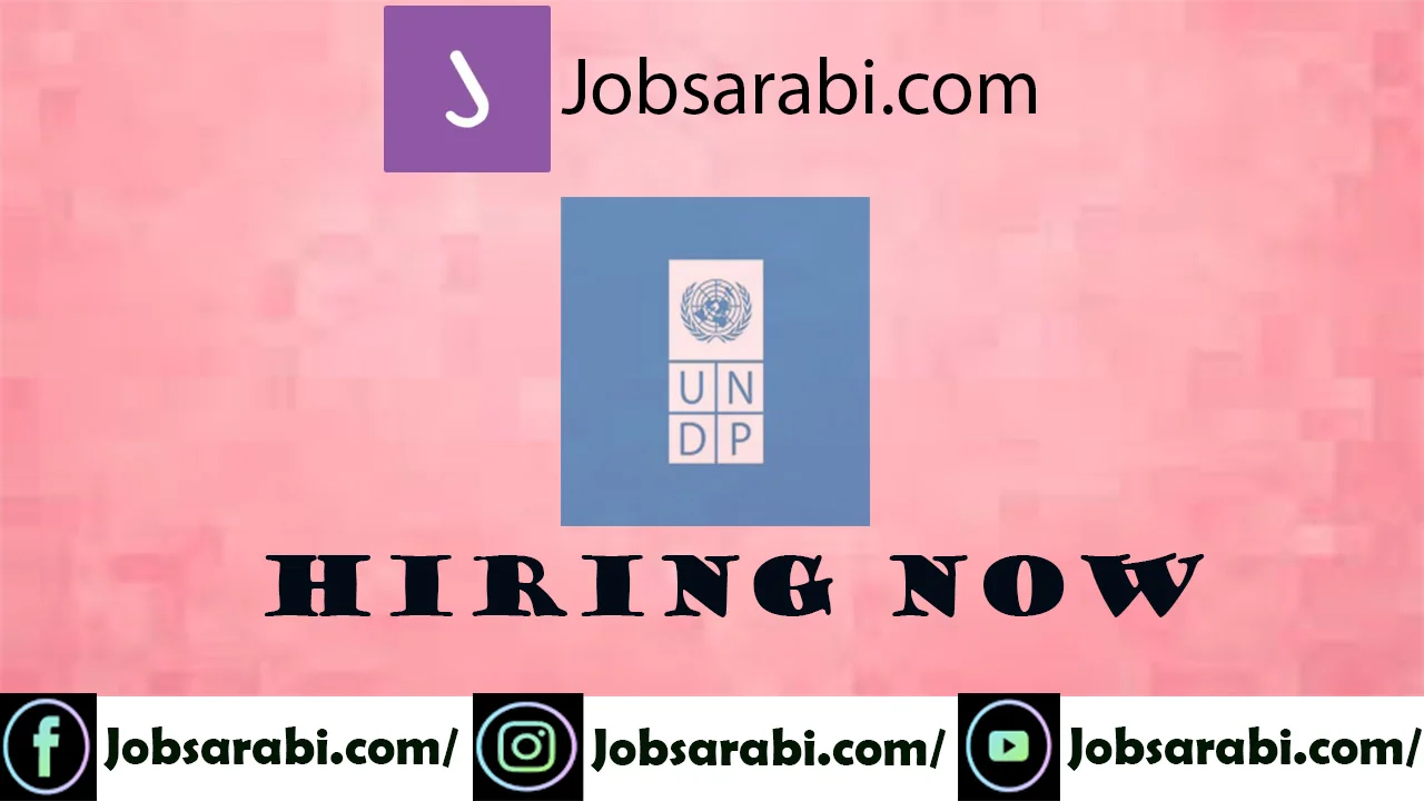 UNDP Jobs in Egypt 2025 | United Nations Organization Hiring UNDP Jobs in Egypt